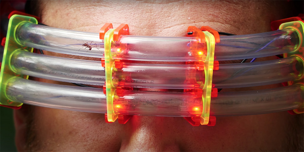 Wearable Ant Farm by Andy Quitmeyer